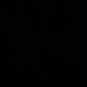 Meet your Posher, Dominga